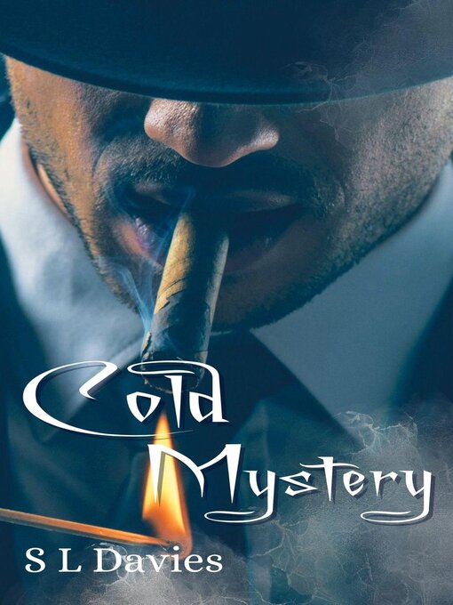 Title details for Cold Mystery by S L Davies - Available